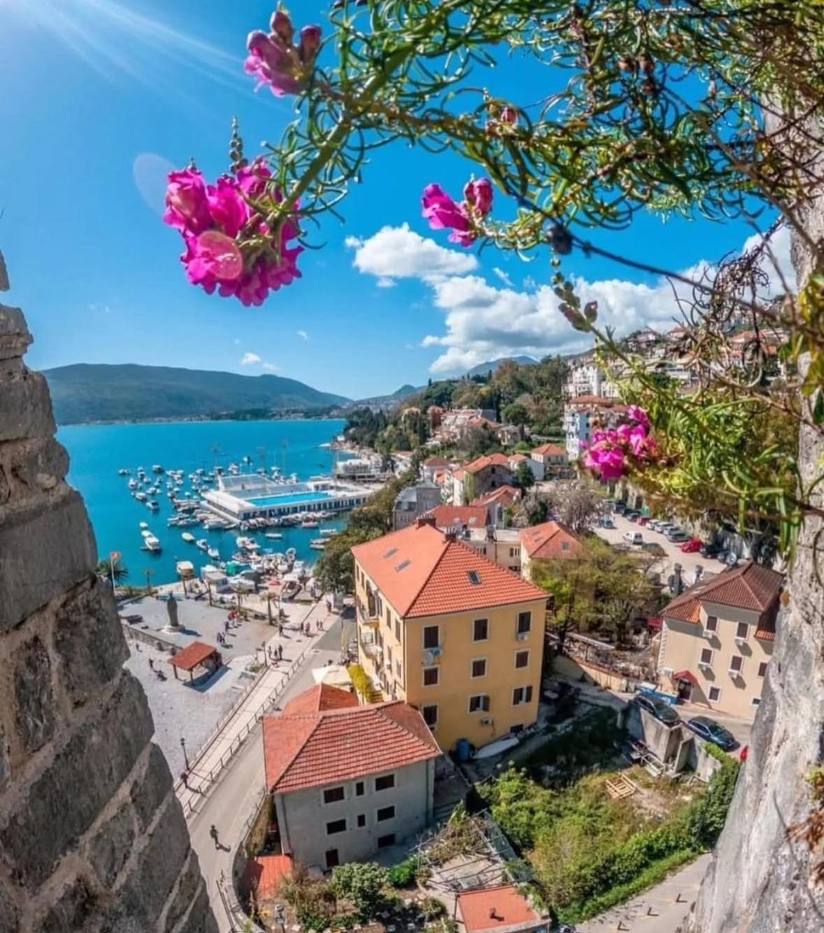City Port Apartment Herceg Novi Eksteriør billede